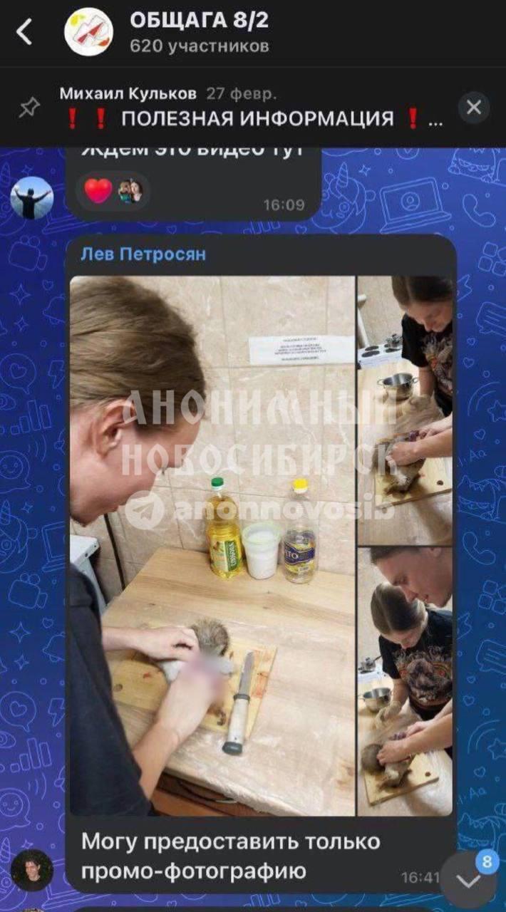 Студенты общежития НГУ съели белку