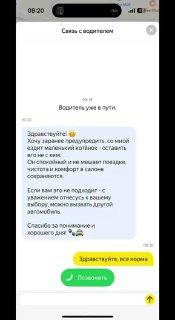 В рилсах завирусился таксист с котёнком — водителю не с кем оставить усатого малыша, и он берёт его с собой на заказы.