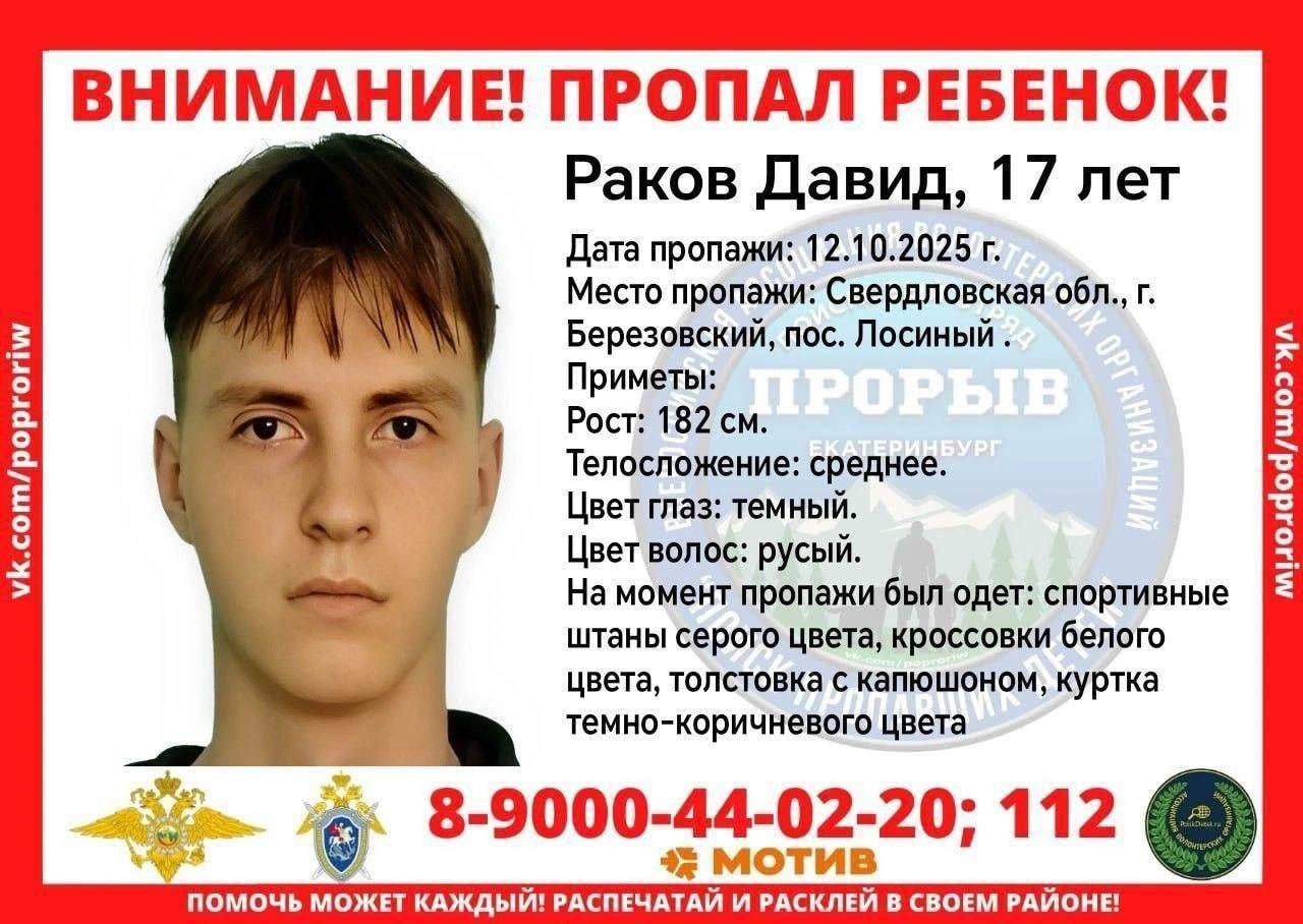 Уже сутки продолжаются поиски 17-летнего Давида, пропавшего в поселке Лосиный (Березовский район)