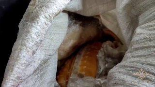 Во внедорожнике жителя Красноярского края найдена рыба и чёрная икра на 20...