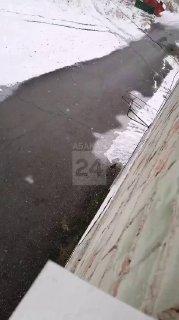 ‎Соболя повстречали жители Вершине Тёи ‎Скрытый таежный хищник попался прямо...