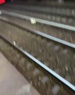 Несколько мужчин сняли с электрички зацепера на Курском направлении ж/д в...