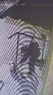 Мужик украл собаку породы лайка у магазина улице Мира в Кировском районе, теперь похитителя объявили в розыск