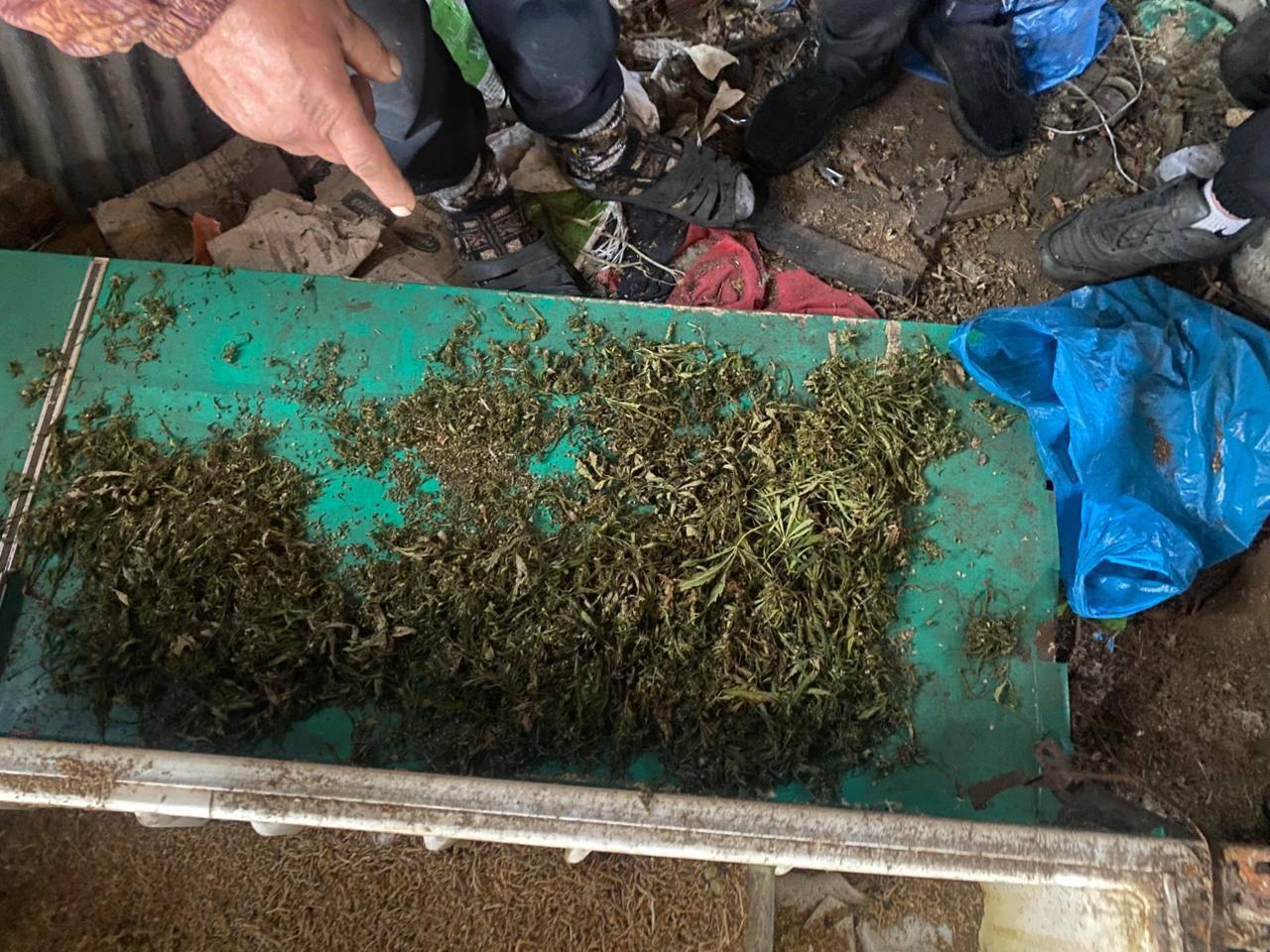В Шушенском районе полицейские задержали 45-летнего местного жителя, у...