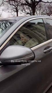 Типичный день из жизни петербуржца. 🇷🇺 Источник: ЧП ПИТЕР