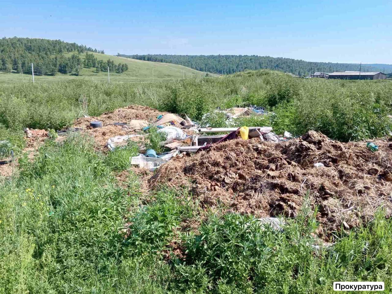 Три свалки на площади около 1 га ликвидировали в Иркутской области