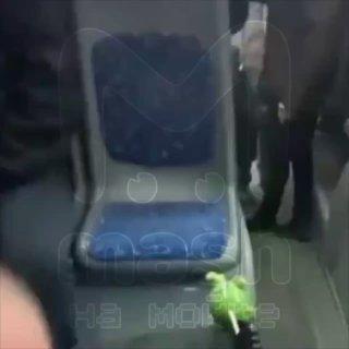 «Она вообще животное, что ли?»: пенсионерка за шкирку выкинула студента с сидячего места в автобусе № 104.