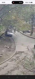 🛞🚨 Во Владивостоке школьники массово воруют колпачки с колёс автомобилей...