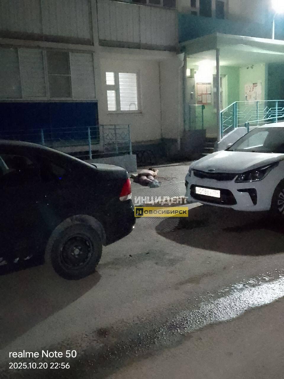 Вчера вечером по адресу Виктора Уса, 7 из окна выпал человек. От полученных травм скончался на месте.