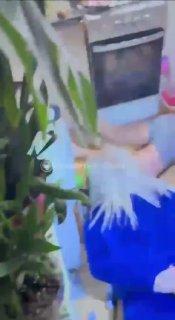 Трансляцию эксцентричных стримеров прервали силовики