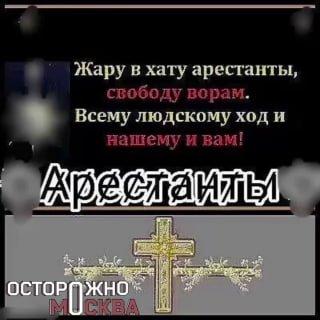 Москвичку арестовали за ведение своих соцсетей в стиле ждули с АУЕ*-мемами....