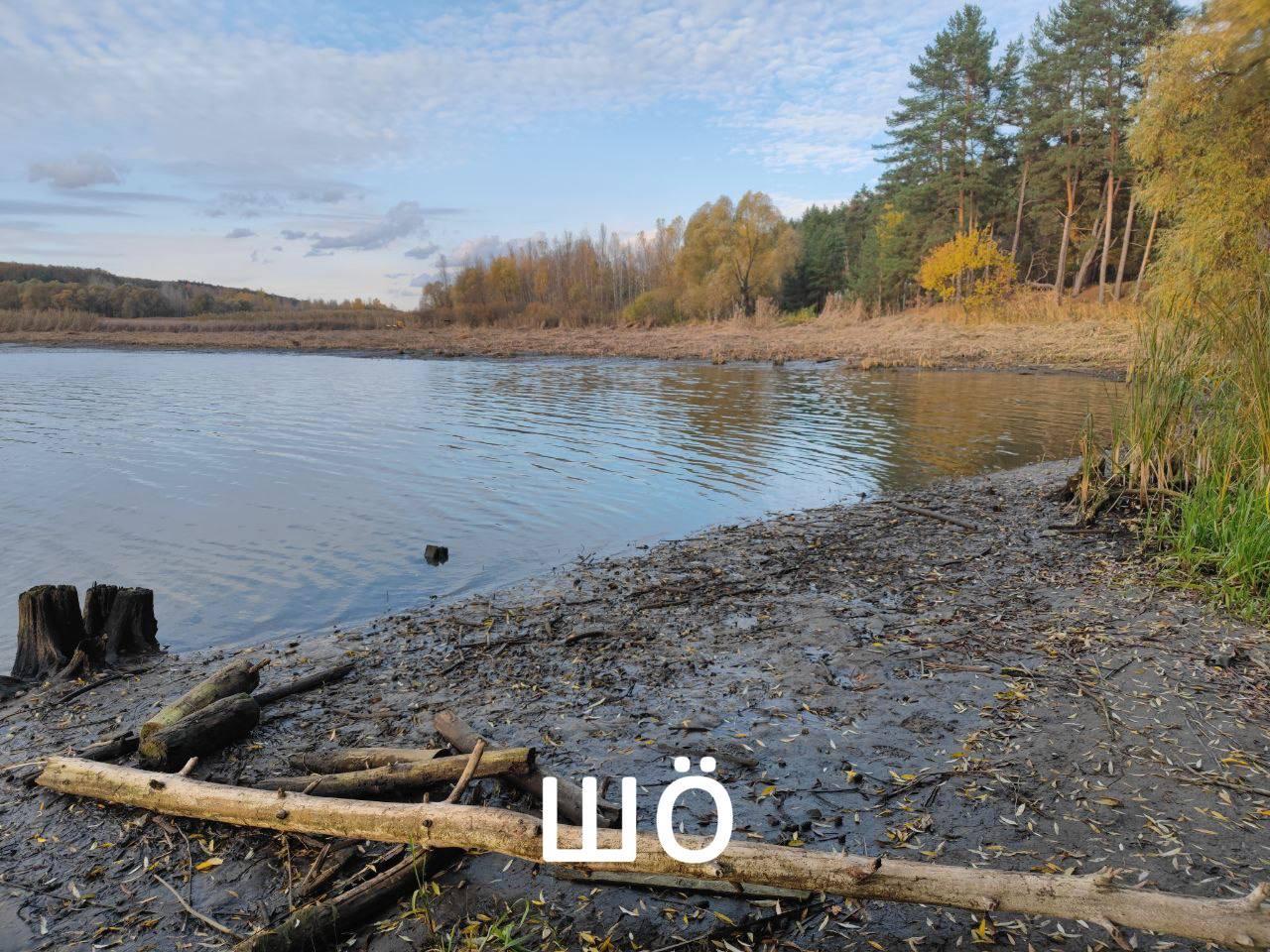 В Сосновке уровень воды снижается, на Нежеголи — растёт