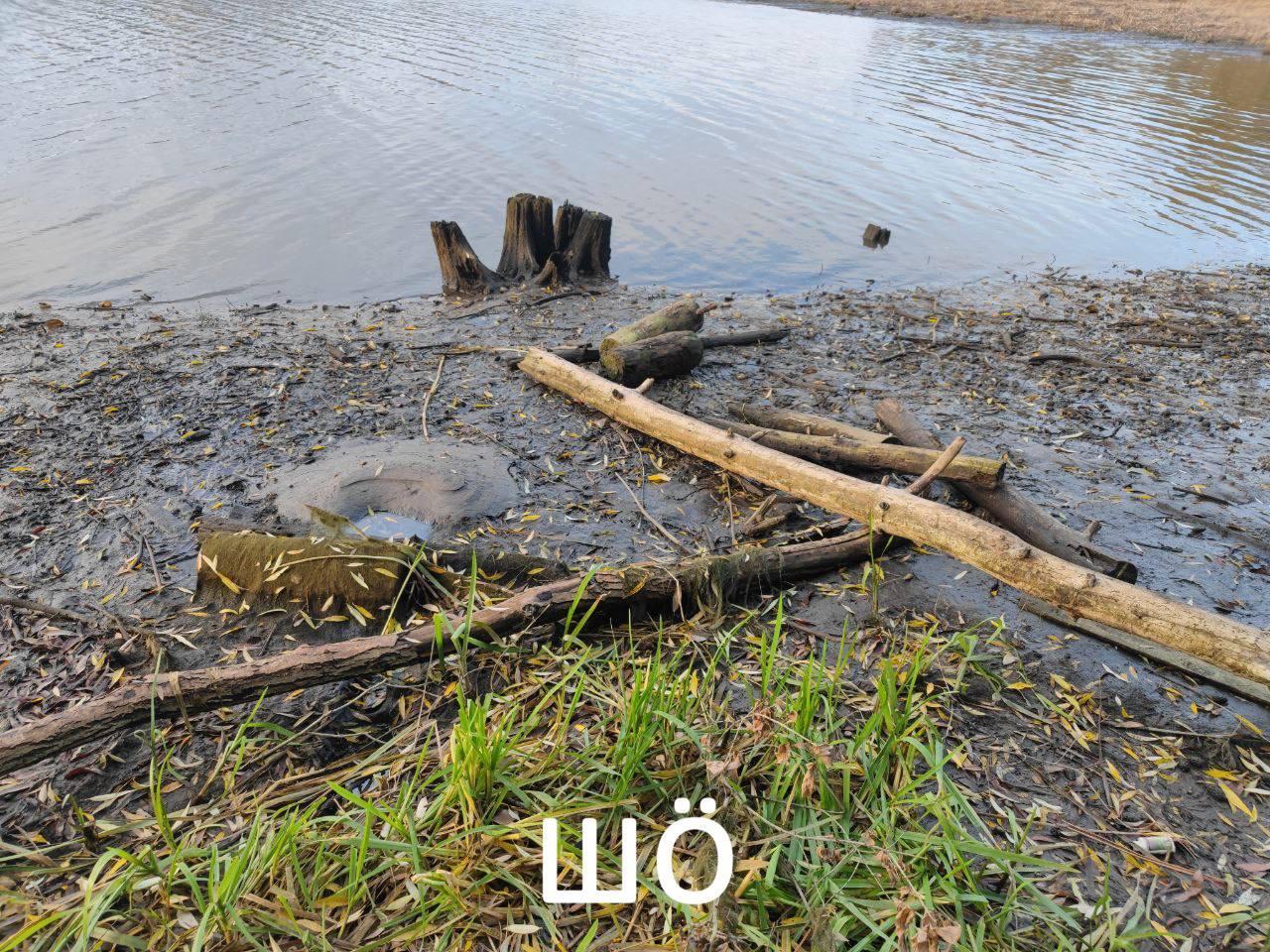 В Сосновке уровень воды снижается, на Нежеголи — растёт