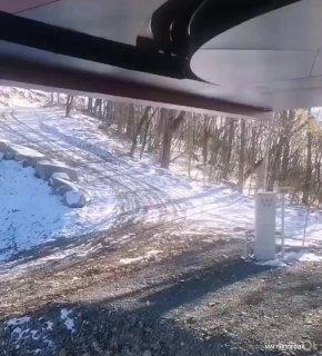 🐻 Мужчина прогнал медведицу с медвежатами от людей в Арсеньеве