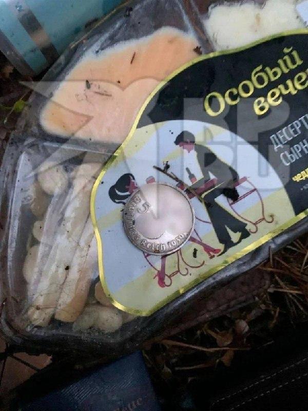 Силовики рассказали, чей обезглавленный труп нашли в тайге под Ивделем