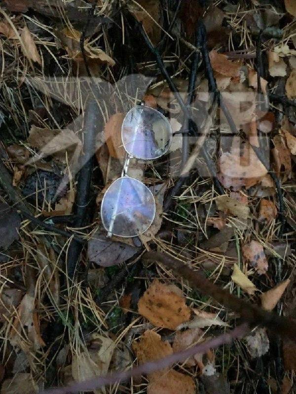 Силовики рассказали, чей обезглавленный труп нашли в тайге под Ивделем