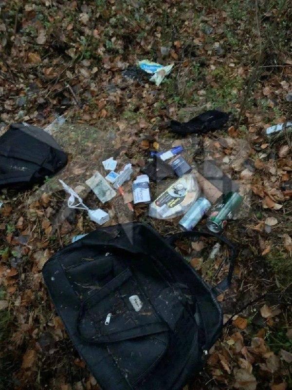 Силовики рассказали, чей обезглавленный труп нашли в тайге под Ивделем