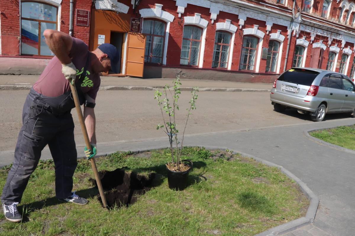 Больше деревьев-больше воздуха! В общественных...