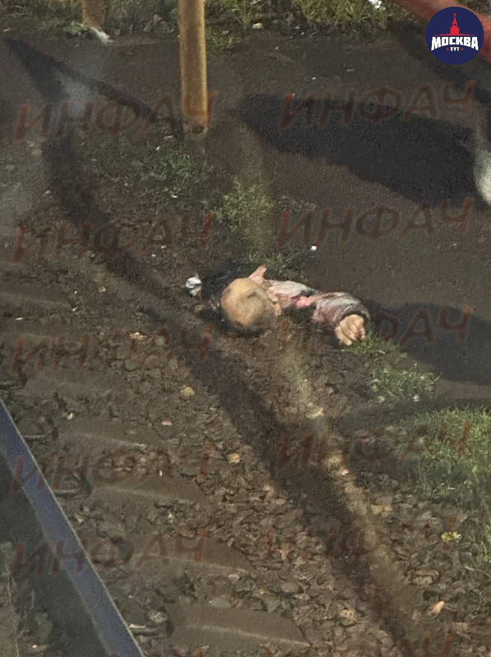 Осторожно, жесткие кадры. Не для слабонервных.