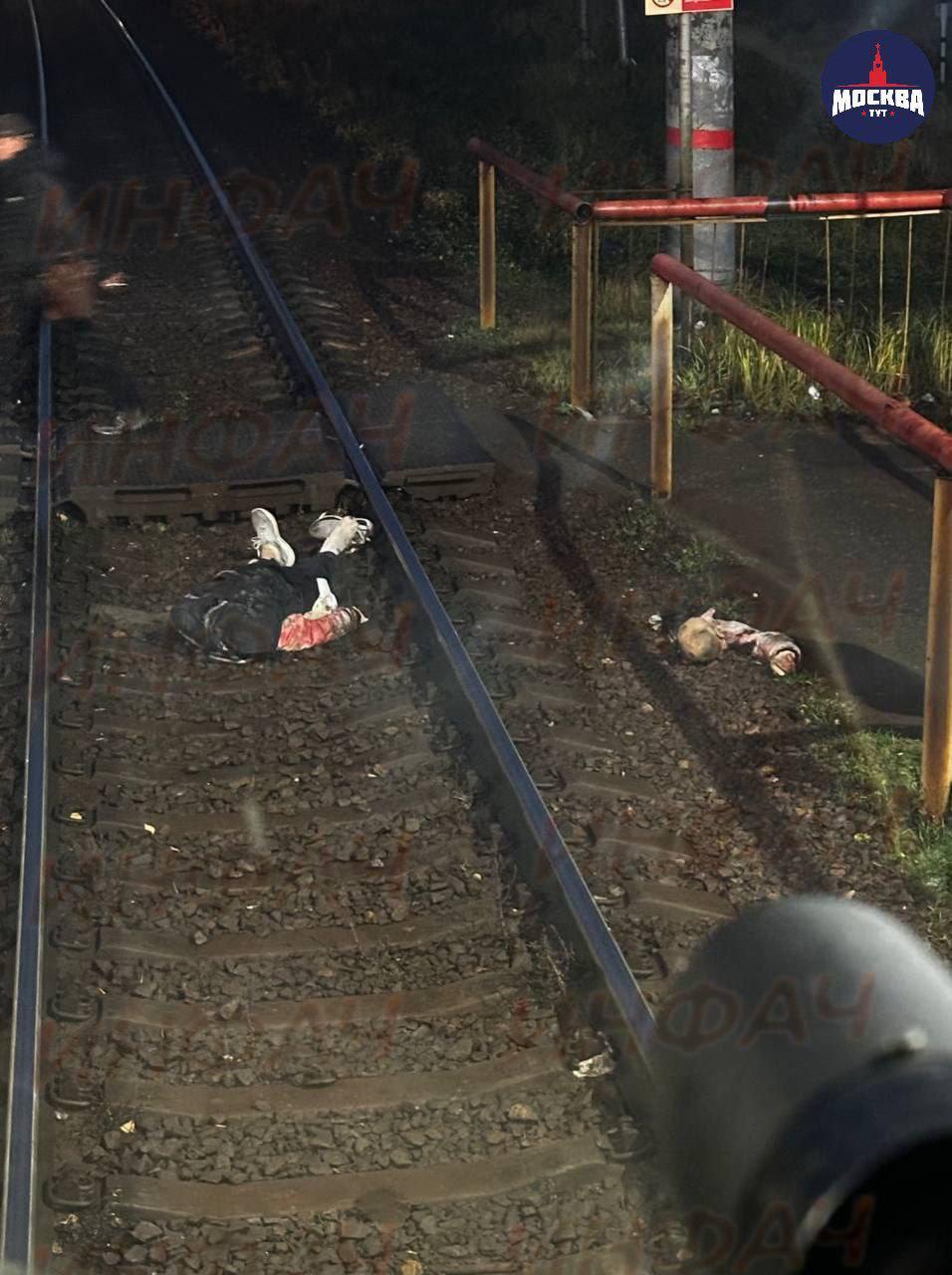 Осторожно, жесткие кадры. Не для слабонервных.