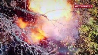 Наши птички летали по осеннему лесу и нашли вражеские огневые точки и блиндажи.