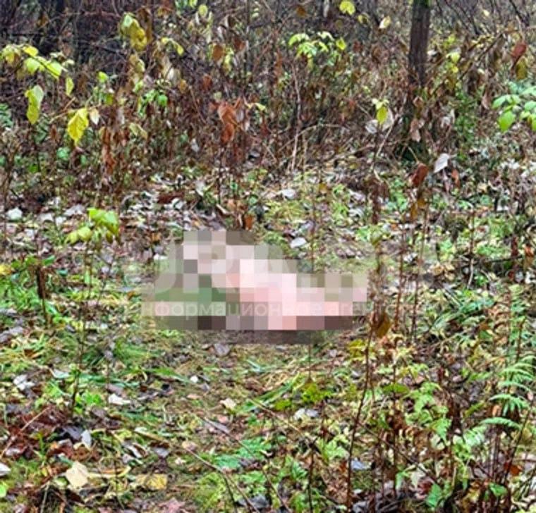 В Юго-Западном лесопарке обнаружили голый труп без головы