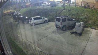 Громадный косолапый бродил возле детсада на Курильских островах