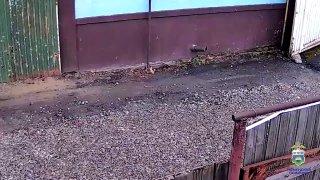 Бездомный стащил крупную сумму и раздал больше 200 тысяч рублей друзьям в...