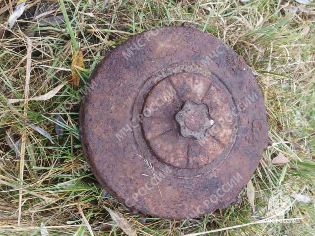 Сегодня в Навлинском районе был обезврежен взрывоопасный предмет времён ВОВ