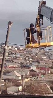 В Забайкалье спасли рысь, забравшуюся на опору ЛЭП