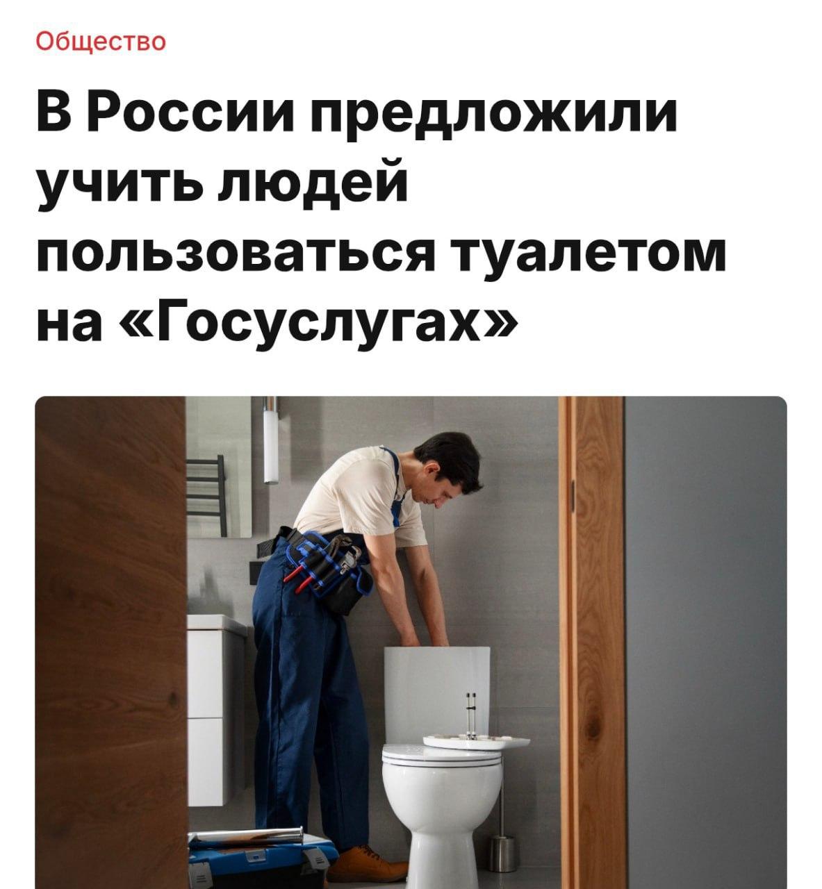 В России предложили учить людей пользоваться туалетом на «Госуслугах».