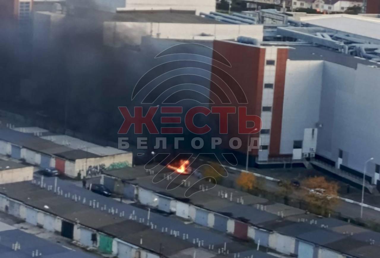 За «Сити Моллом» горит мусор: работают пожарные