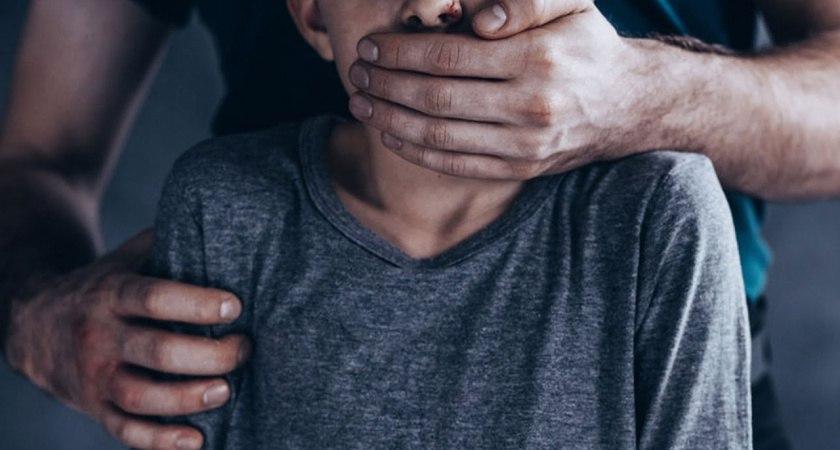 Пенсионерка совр*щала внука, а отец мальчика снимал все на видео