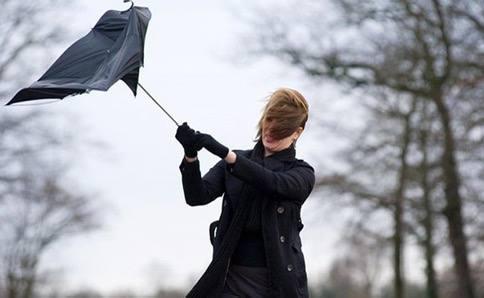 Жителей края предупреждают о сильном ветре 2 ноября 2 ноября в центральных и...