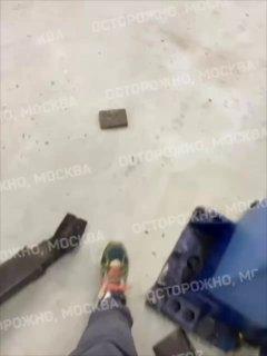 В Лефортово крысы прогрызают автомобили и устраивают там гнезда после сноса старых домов.