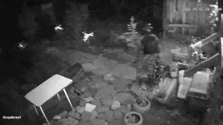 Пенсионер из Минусинска обчистил 12 дач ради еды.