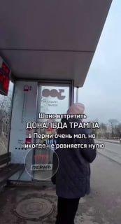 В Перми заметили «Дональда Трампа»