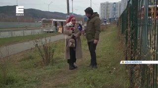 Неизвестный мужчина зарезал собаку во дворе дома в «Тихих Зорях».