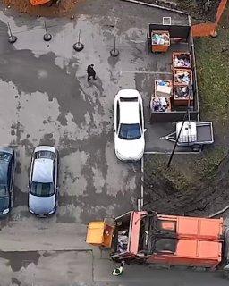 Водитель мусоровоза отомстил автомобилисту, перекрывшему дорогу к бакам