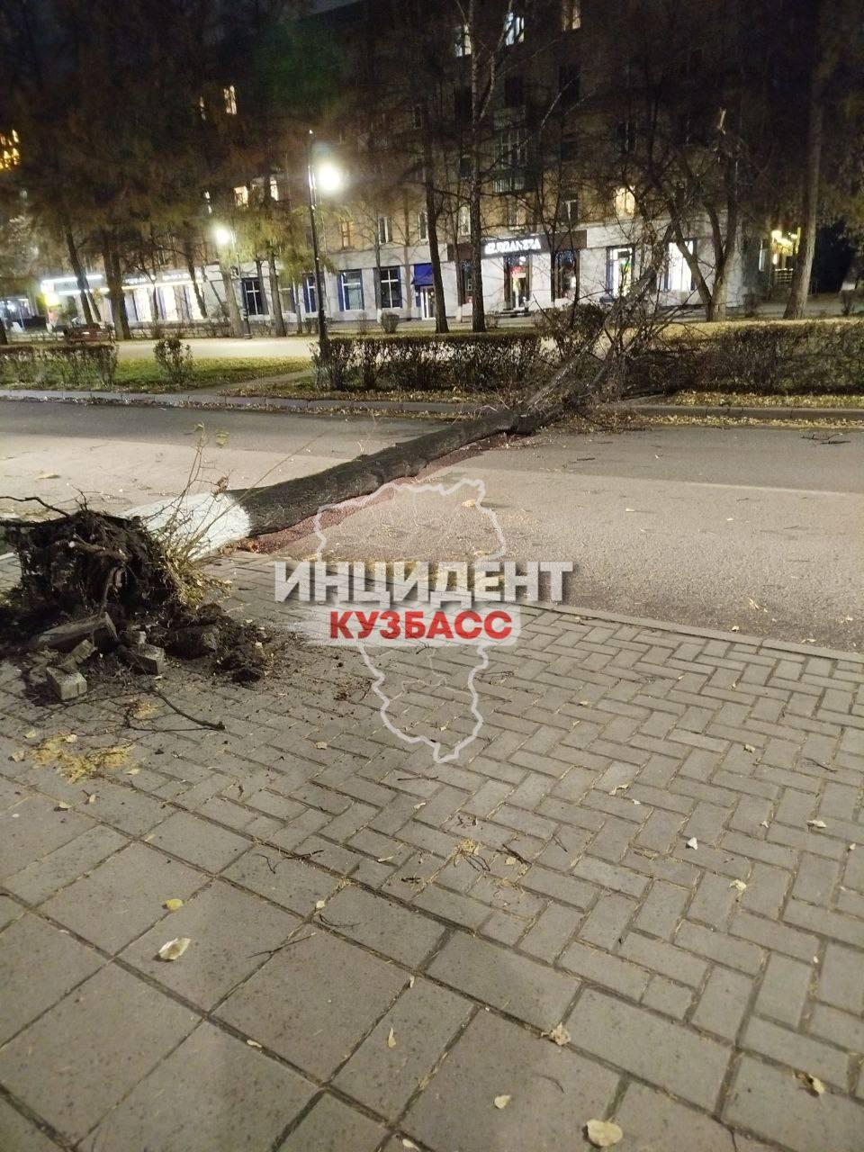 Последствия вчерашнего ураганного ветра в Кемерово.