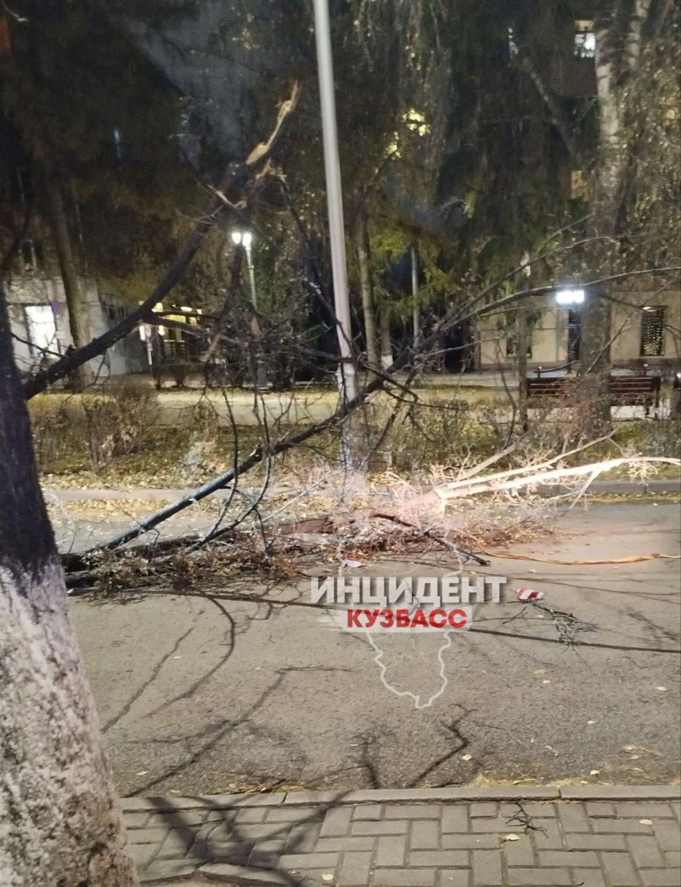 Последствия вчерашнего ураганного ветра в Кемерово.