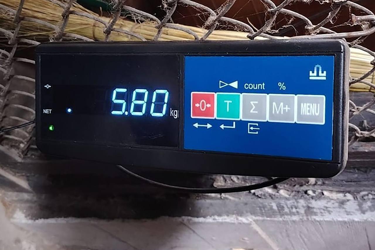 Парк «Роев ручей» публикует свежий фотоотчёт: манул Борис официально открыл...