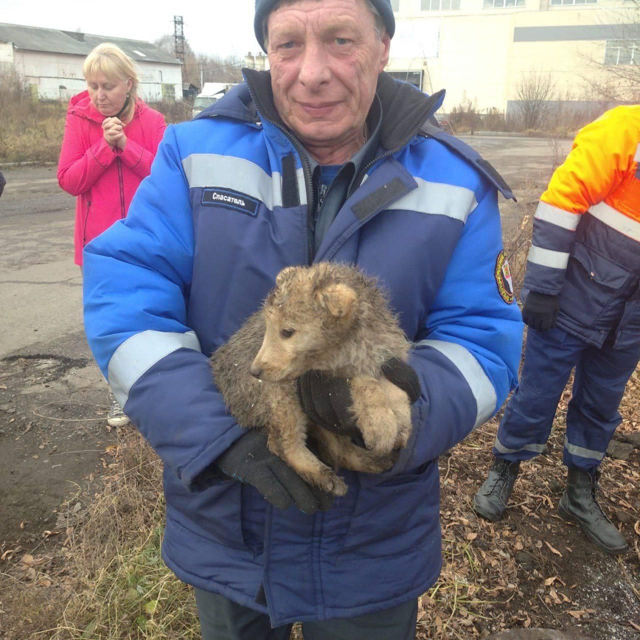 Немного добрых новостей.