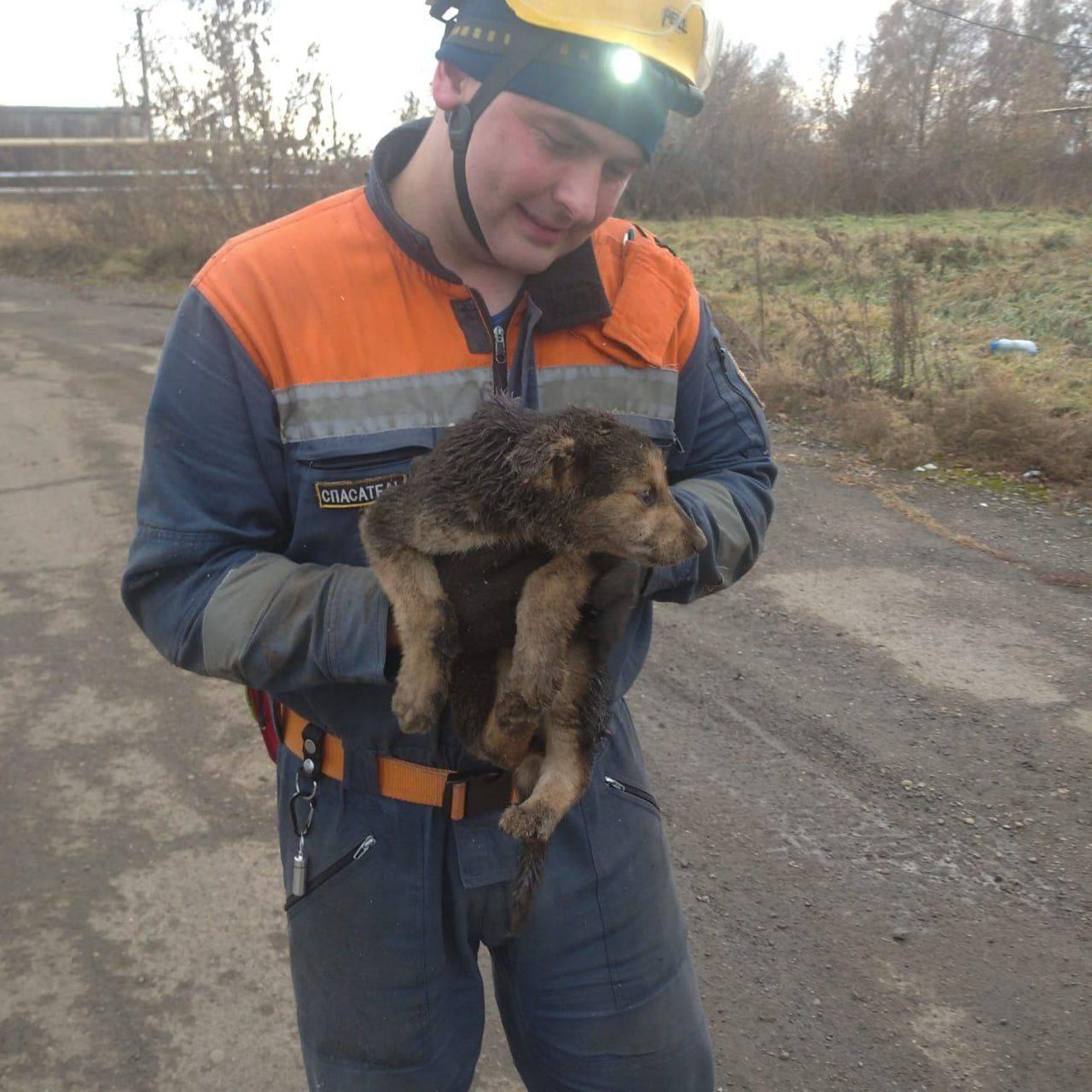 Немного добрых новостей.