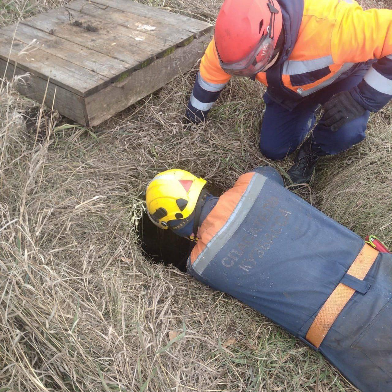 Немного добрых новостей.