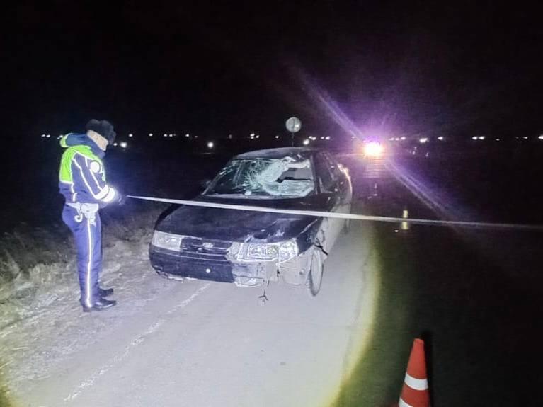 Один подросток умер, второй - в больнице: водитель сбил пешеходов в Ирбитском районе