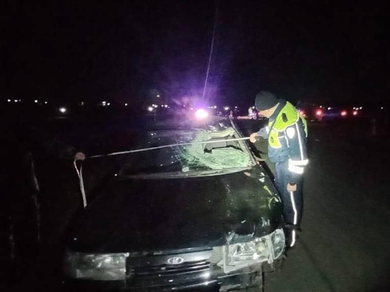 Один подросток умер, второй - в больнице: водитель сбил пешеходов в Ирбитском районе