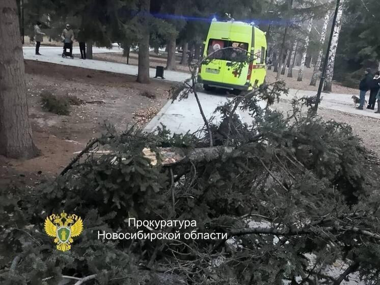 Глава СК РФ Александр Бастрыкин лично взял под контроль расследование...