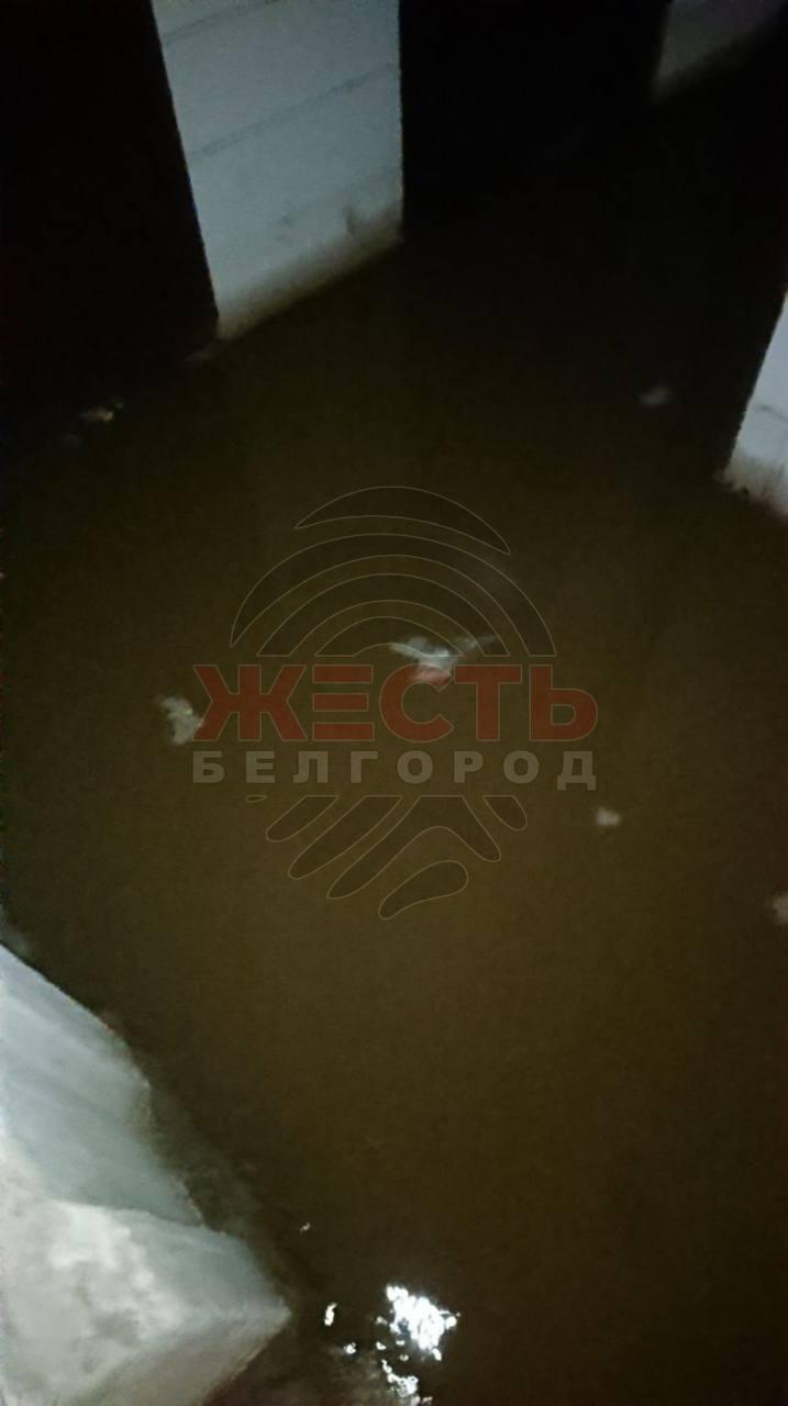 Белгород, ул. Семейная, 7: затоплен подвал многоквартирного дома