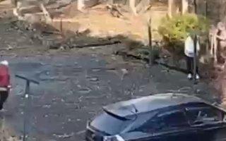 Пенсионерка избила соседей бревном во дворе во Владивостоке.